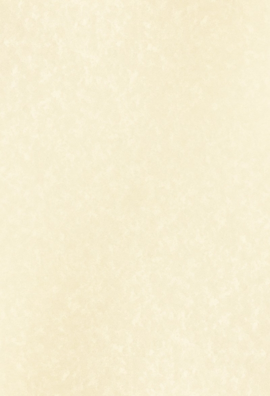 european style printable certificate paper 297x210mm 90g special