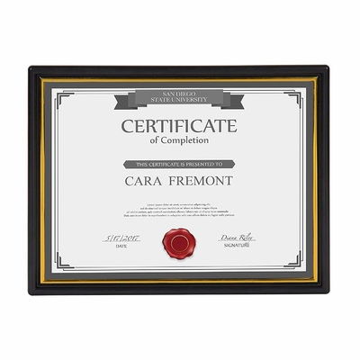 Plastic Certificate Display Frame 8.5 X 11 Inches Corporate Award Presentation Usage
