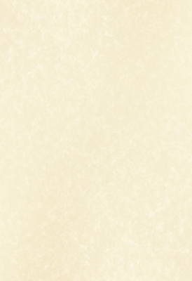 European Style Printable Certificate Paper 297X210mm 90g Special Paper Made