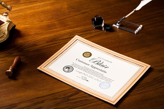 Wall Hanging A4 Certificate Frames Parchment Material With Transparent PVC Film